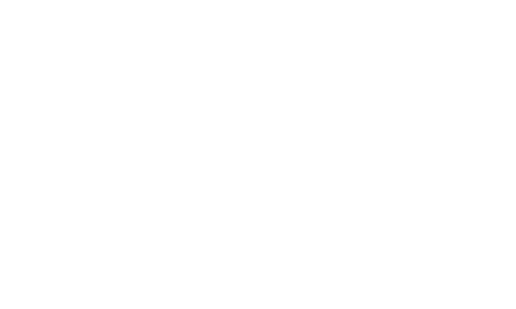 cne-Logo-w